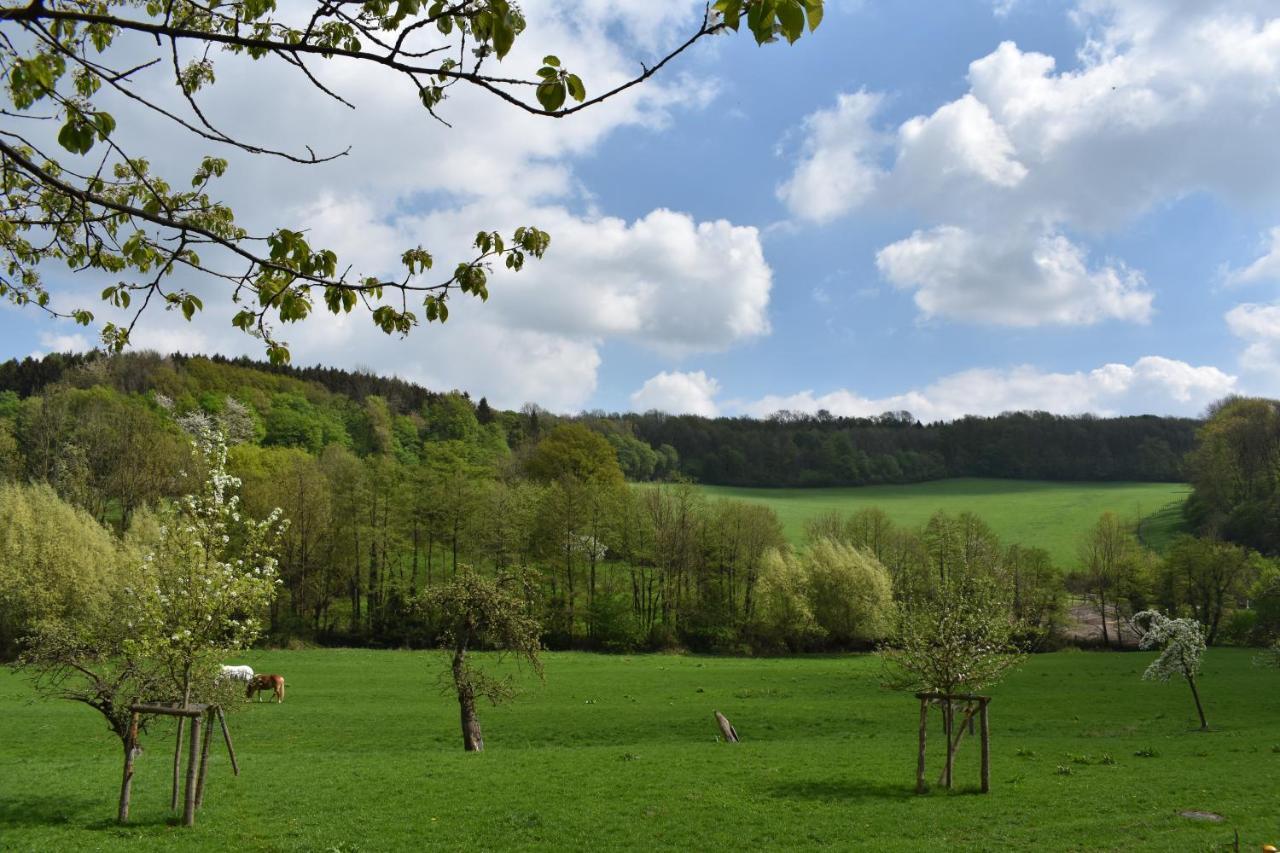 Apartment Guese Detmold