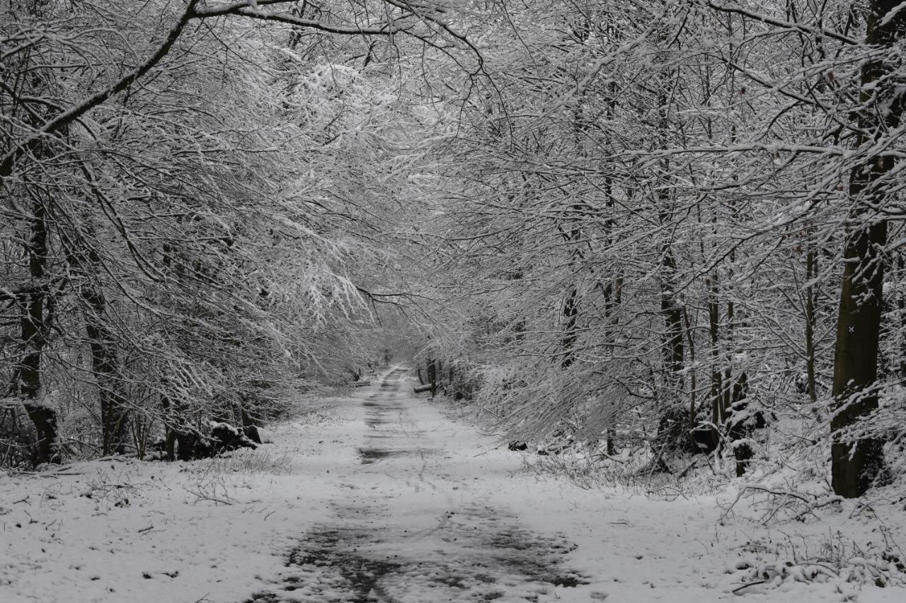 Guese * Detmold