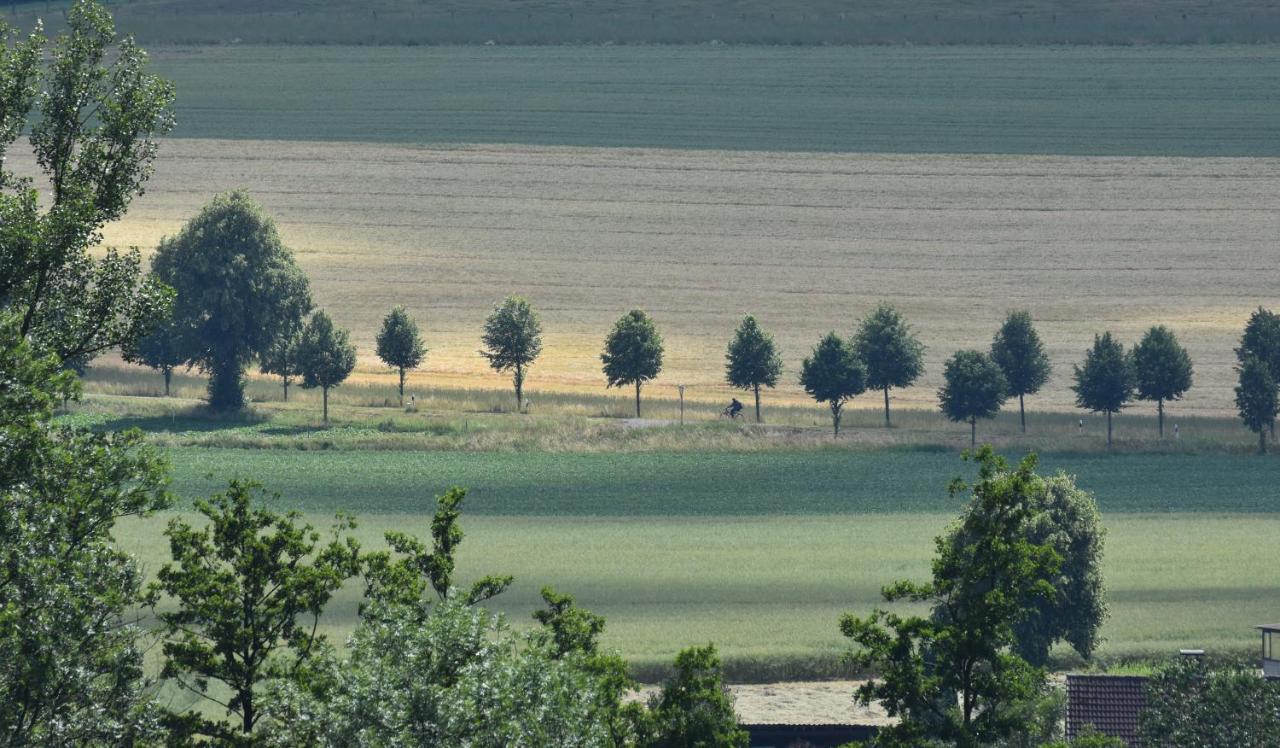 Guese Detmold